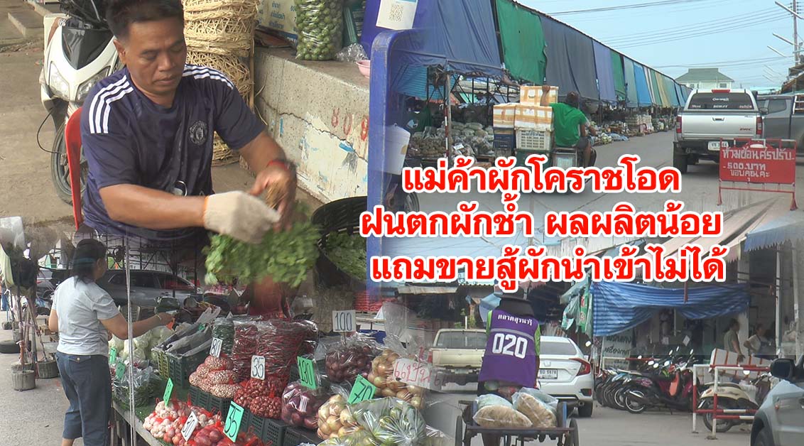 แม่ค้าผักโคราชโอด ฝนตกผักช้ำ ผลผลิตน้อย แถมขายสู้ผักนำเข้าไม่ได้