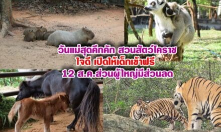 วันแม่สุดคึกคัก สวนสัตว์โคราชใจดี เปิดให้เด็กเข้าฟรี 12 ส.ค.ส่วนผู้ใหญ่มีส่วนลด