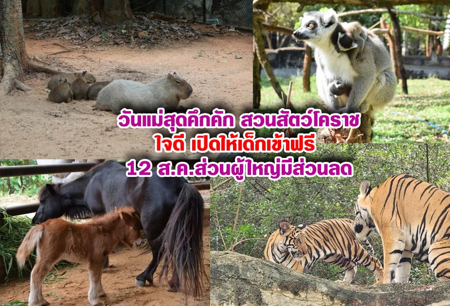วันแม่สุดคึกคัก สวนสัตว์โคราชใจดี เปิดให้เด็กเข้าฟรี 12 ส.ค.ส่วนผู้ใหญ่มีส่วนลด