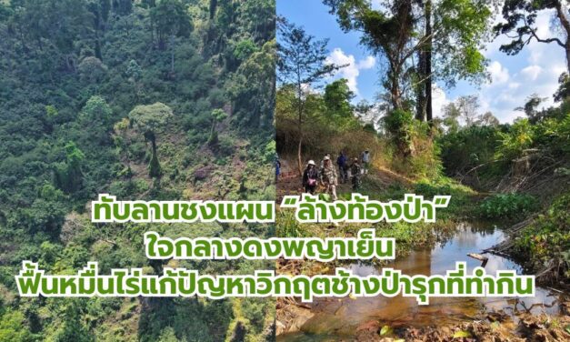 ทับลานชงแผน “ล้างท้องป่า” ใจกลางดงพญาเย็น ฟื้นหมื่นไร่แก้ปัญหาวิกฤตช้างป่ารุกที่ทำกิน