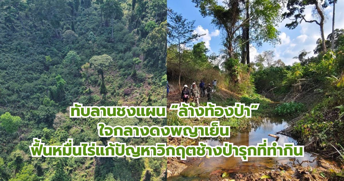 ทับลานชงแผน “ล้างท้องป่า” ใจกลางดงพญาเย็น ฟื้นหมื่นไร่แก้ปัญหาวิกฤตช้างป่ารุกที่ทำกิน