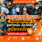 เทศบาลฯ โคราช จับมือปศุสัตว์เขต 3 ลุยทำหมัน-ฉีดวัคซีนสุนัขจรจัด สกัดโรคพิษสุนัขบ้า