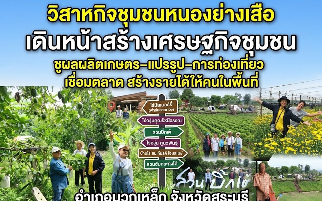 “วิสาหกิจชุมชนหนองย่างเสือ” เดินหน้าสร้างเศรษฐกิจชุมชนชูผลผลิตเกษตร–แปรรูป–การท่องเที่ยว เชื่อมตลาด สร้างรายได้ให้คนในพื้นที่
