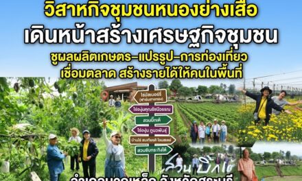 “วิสาหกิจชุมชนหนองย่างเสือ” เดินหน้าสร้างเศรษฐกิจชุมชนชูผลผลิตเกษตร–แปรรูป–การท่องเที่ยว เชื่อมตลาด สร้างรายได้ให้คนในพื้นที่