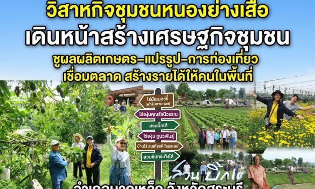 “วิสาหกิจชุมชนหนองย่างเสือ” เดินหน้าสร้างเศรษฐกิจชุมชนชูผลผลิตเกษตร–แปรรูป–การท่องเที่ยว เชื่อมตลาด สร้างรายได้ให้คนในพื้นที่