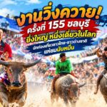 งานวิ่งควาย!ครั้งที่ 155 ชลบุรี ยิ่งใหญ่ หนึ่งเดี่ยวในโลก นักท่องเที่ยวชาวไทย-ชาวต่างชาติแห่ชมนับหมื่น